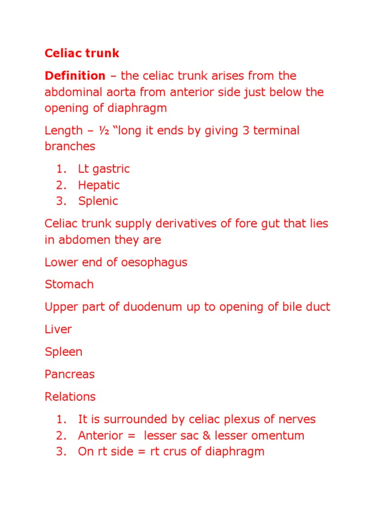 Celiac Trunk Definition - The Celiac Trunk Arises From The | PDF, image size:768x1024