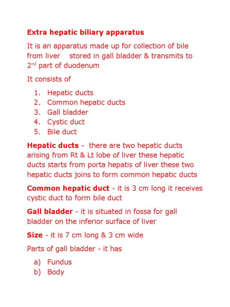 Extrahepatic Biliary Apparatus Overview | PDF | Liver | Gallbladder