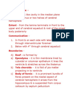 Third Ventricle