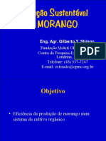 Palestra Gilberto Shingo PDF