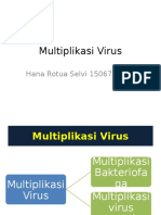 Multiplikasi Virus