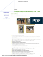 Breeding Management of Sheep and Goat