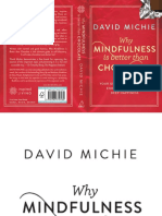 David Michie Why Mindfulness Is Better Than Chocolate Extract