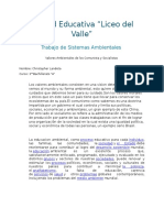 Comunismo y Socialismo Ambiental