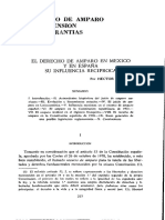 Dialnet-ElDerechoDeAmparoEnMexicoYEnEspana-1427330.pdf