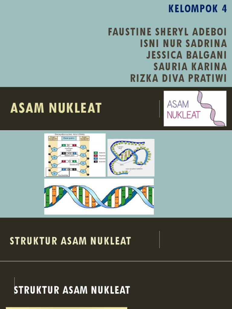 Gambar Rantai Ganda Dna Sederhana Beserta Pasangan Basa ...
