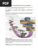 Niveles de Organización de La Materia