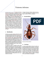 Vectores de Chagas: Triatoma infestans