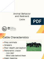 08 Animal Behavior Restraint Cattle JIT PPT FINAL