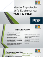 Nueva PPT Cut and Fill