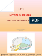 LP1 Mitozasimeioza