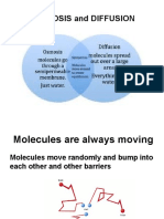 Osmosis, Diffusion Presentation.pptx