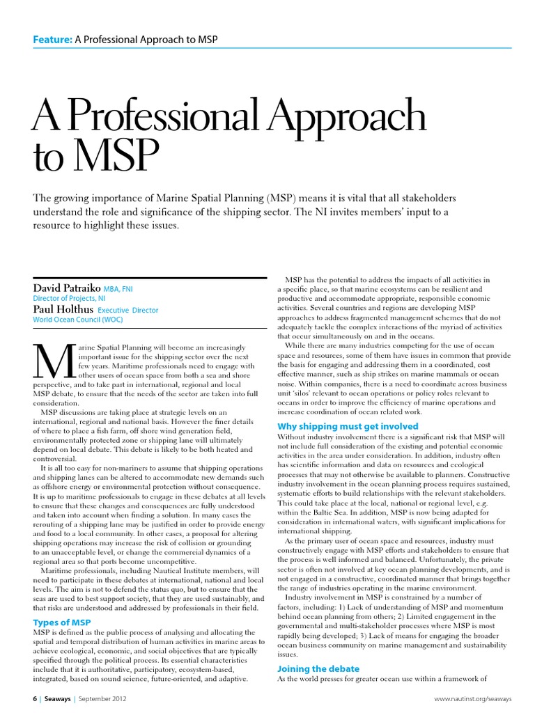 A Professional Approach To MSP | PDF | Natural Environment | Earth Sciences