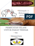 Pembuatan Silase Untuk Pakan Ternak