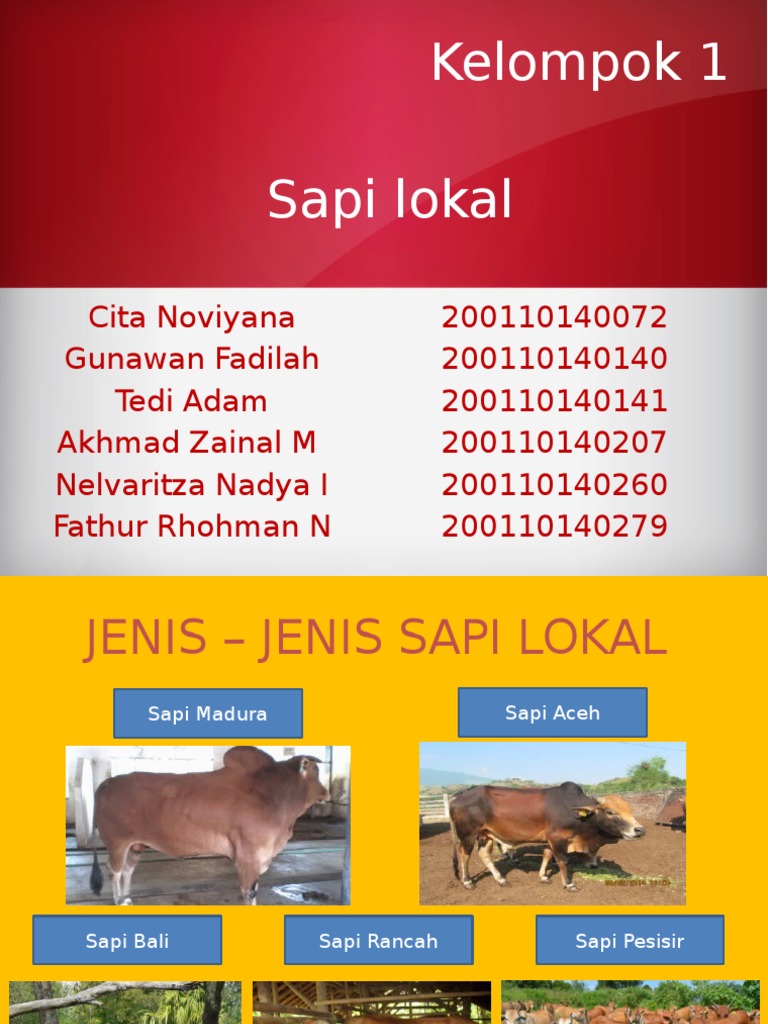 Sapi Lokal Rev | PDF | Memasak, Makanan, & Anggur