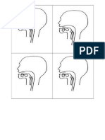 Human Digstive System Cutout