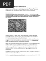 Download Karakteristik Bakteri Nitrobacterdocx by Sakri Agung SN343074956 doc pdf