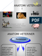 Anatomi Veteriner 1