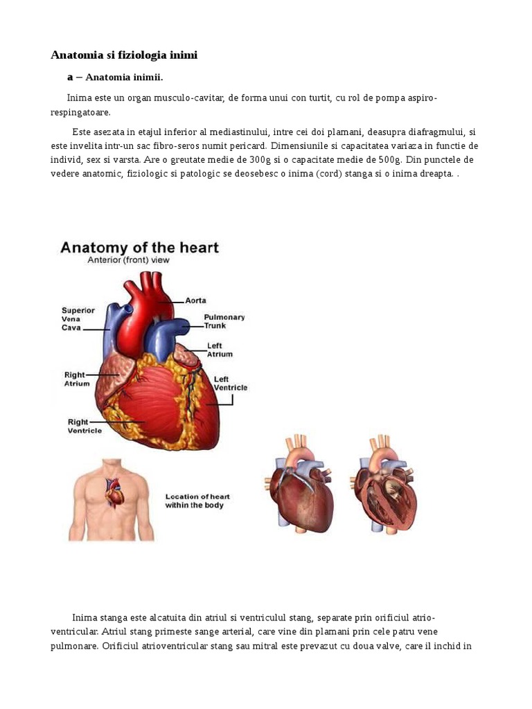 Anatomia Inimii | PDF