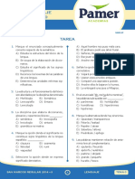 Lenguaje PDF