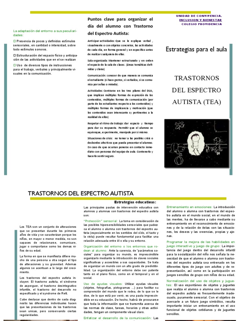 Estrategias para alumnos con TEA | PDF | Autismo | Espectro autista