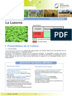 509-Fiche Culture Luzerne PDF