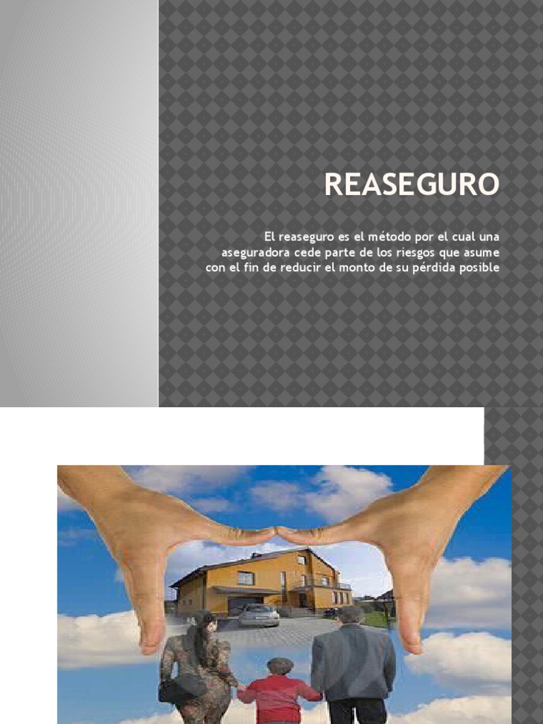 Tipos y Funciones del Reaseguro | PDF | Reaseguro | Seguro