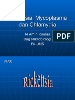 Rickettsia, Mycoplasma Dan Chlamydia