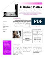 CUIDADOS MALTES Zorginzuri Malteses PDF