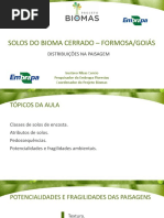 Aula 6_solos Do Cerrado - Formosa_goias