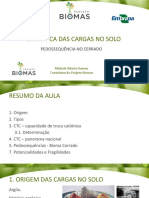 Aula 10 - Dinamica Das Cargas No Solo