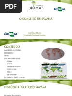 Aula 14_o Conceito de Savana