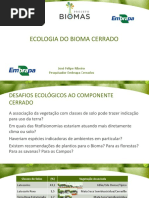 Aula 17_ecologia Do Bioma Cerrado