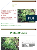 Cynara.ppt