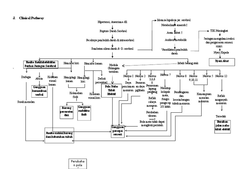Pathways Ich | PDF
