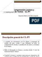 102171696-Pruebas-CL-PT DESCRIPCION GENERAL}.pdf