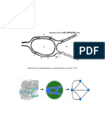 Illustration of The Mentioned Problem As Mentioned by Euler in His Paper in 1736