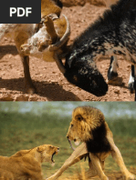 Resolvendo Conflitos