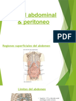 Pared Abdominal & Peritoneo