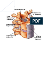 Gambar ligamen leher