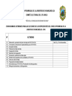 Cronograma de Actividades para Las Elecciones de Los Representates Del Consejo Provincial de La Juventud de Huancavelica