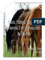 Calcio, Fósforo, Magnesio y Vitamina D en La Producción de Equinos