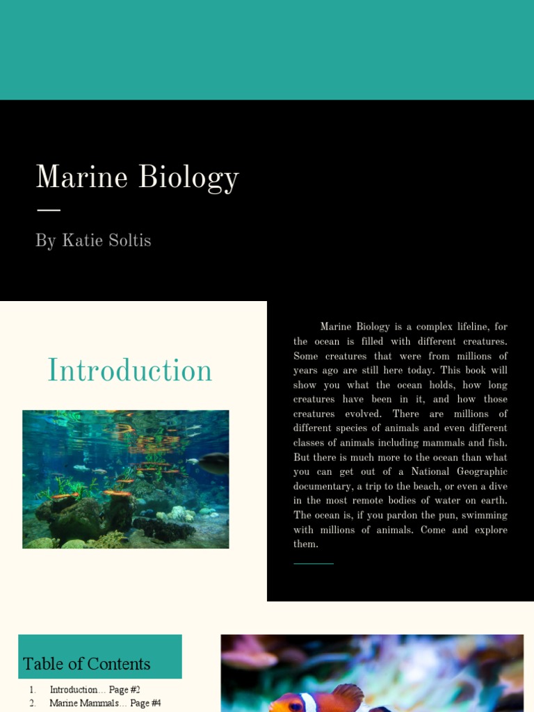 Marine Biology | PDF | Cetacea | Whales