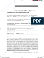 Descripción Anatómica e Histológica Del Tracto Digestivo de Nicuro