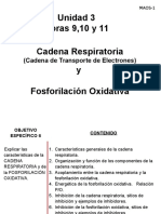 CADENA_RESPIRATORIA_FOSFORILACION_OXIDAT.pptx