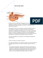 Apuntes para Informe Lab Histo