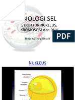 Siklus Sel Dan Apoptosis-2