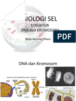 Struktur Kromosom Dan DNA PDF