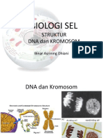 Struktur Kromosom dan DNA.pdf