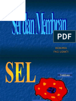 Sel Dan Membran